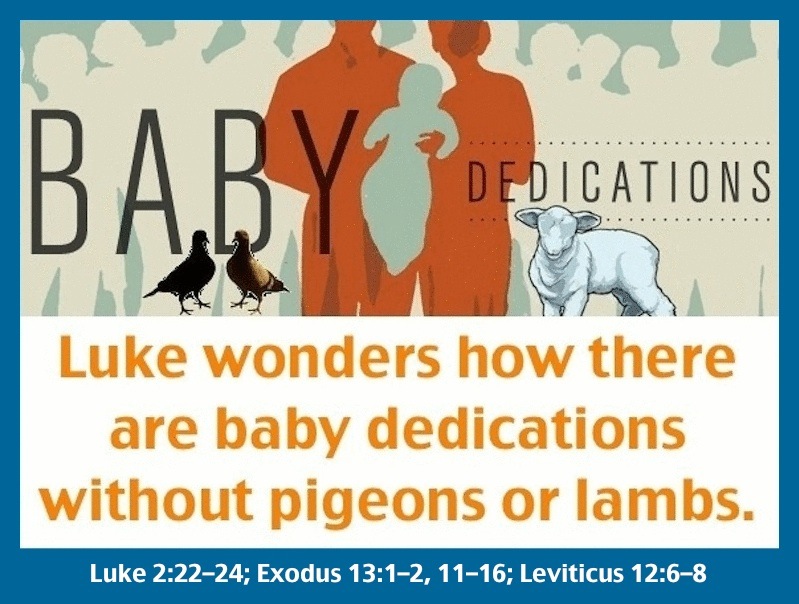 BabyDedications_pigeons_lamb